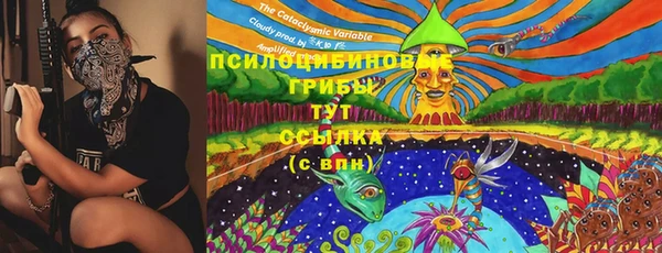 МДПВ Балахна
